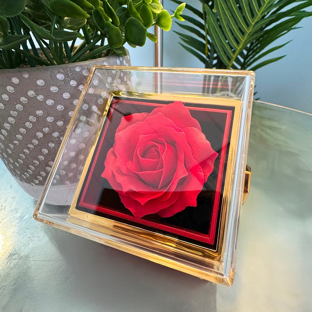 To My Beutiful WIfe - Queen of My World, Rotating Rose with Love Knot Necklace